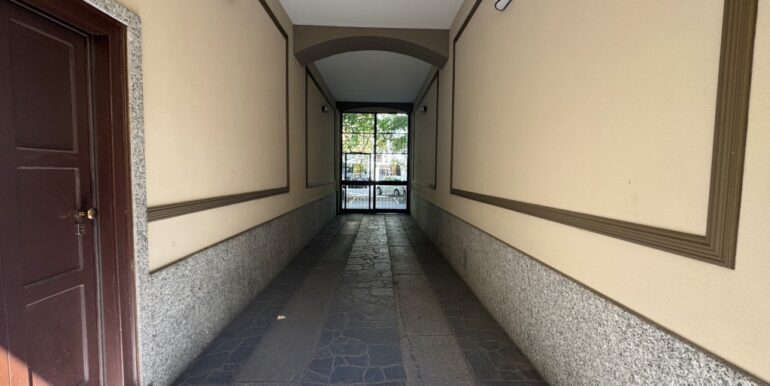IMG_4986