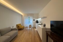 Appartamento monolocale in affitto a Milano De Angeli